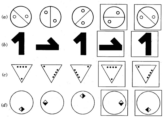 NCERT Solutions for 5th Class Maths Chapter 7-Can You See The Pattern?