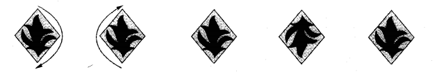NCERT Solutions for 5th Class Maths Chapter 7-Can You See The Pattern?