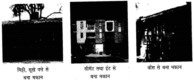 NCERT Solutions for 5th Class Environmental Science –(पर्यावरण अध्ययन): Chapter 13-बसेरा ऊँचाई पर