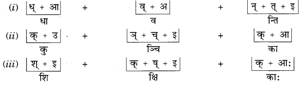 NCERT Solutions for Class 6th Sanskrit: Chapter 2-शब्द परिचयः 2