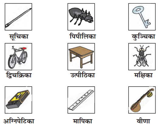 NCERT Solutions for Class 6th Sanskrit: Chapter 2-शब्द परिचयः 2