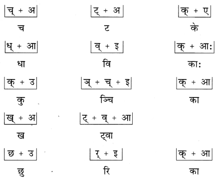 NCERT Solutions for Class 6th Sanskrit: Chapter 2-शब्द परिचयः 2