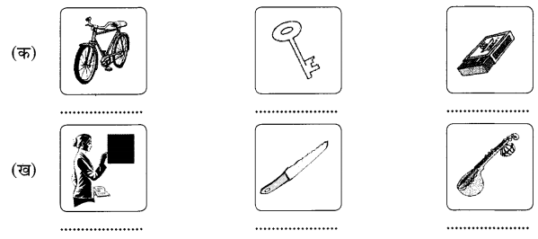 NCERT Solutions for Class 6th Sanskrit: Chapter 2-शब्द परिचयः 2