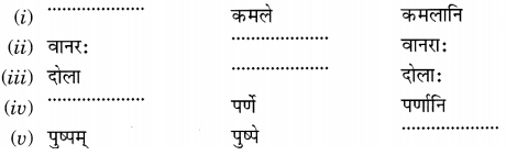 NCERT Solutions for Class 6th Sanskrit: Chapter 3-शब्द परिचयः 3