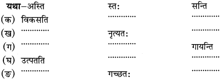 NCERT Solutions for Class 6th Sanskrit: Chapter 3-शब्द परिचयः 3