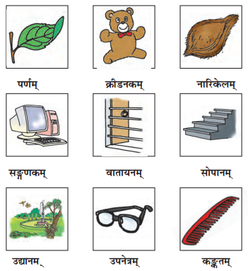 NCERT Solutions for Class 6th Sanskrit: Chapter 3-शब्द परिचयः 3