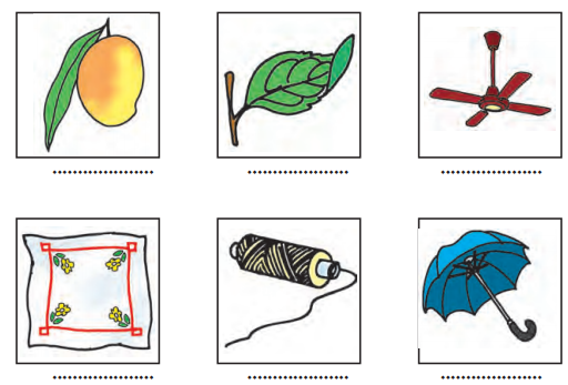 NCERT Solutions for Class 6th Sanskrit: Chapter 3-शब्द परिचयः 3