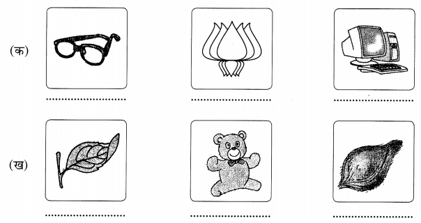 NCERT Solutions for Class 6th Sanskrit: Chapter 3-शब्द परिचयः 3