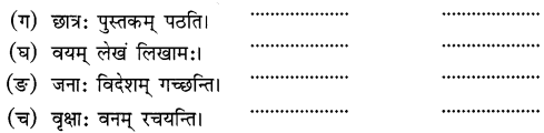 NCERT Solutions for Class 6th Sanskrit: Chapter 5-वृक्षाः