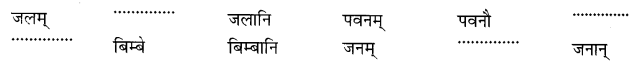 NCERT Solutions for Class 6th Sanskrit: Chapter 5-वृक्षाः