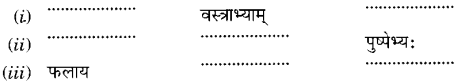 NCERT Solutions for Class 6th Sanskrit: Chapter 6-समुद्रतटः