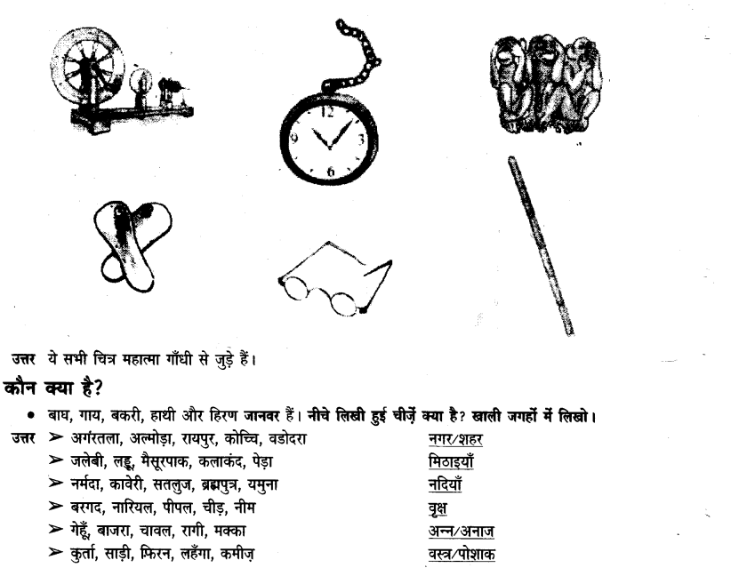 NCERT Solutions for Class 3rd Hindi: Chapter 11-मीरा बहन और बाघ