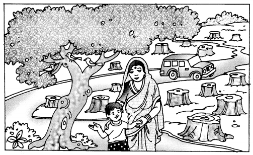 NCERT Solutions for Class 10 Sanskrit Grammar: खण्डः ‘ख’ (रचनात्मक कार्यम्)-चित्रवर्णनम् अथवा अनुच्छेदलेखनम्