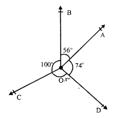 RS Aggarwal Solutions for Class 7 Maths Chapter 13–Lines and Angles Question 11