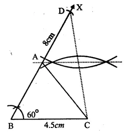 RS Aggarwal Solutions for Class 9 Maths Chapter 12–Geometrical Constructions Question 13
