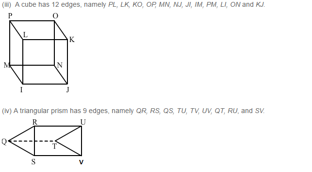 RS Aggarwal Solutions for Class 8 Maths Chapter 19–Three-Dimensional Figures Ex 19A Q2