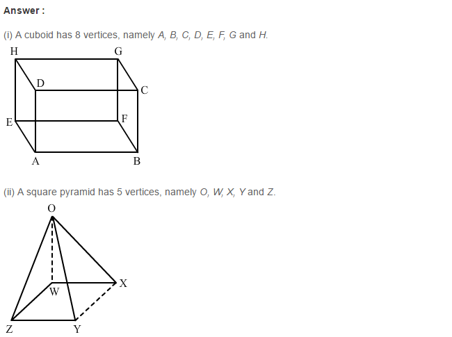 RS Aggarwal Solutions for Class 8 Maths Chapter 19–Three-Dimensional Figures Ex 19A Q3