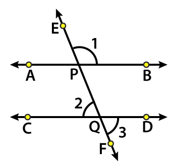 RD Sharma Solutions for Class 6 Chapter 11 solutions