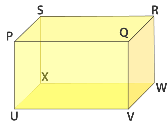 RD Sharma Solutions for Class 6 Chapter 16