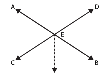 RD Sharma Solutions for Class 6 Chapter 18