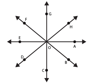RD Sharma Solutions for Class 6 Chapter 18