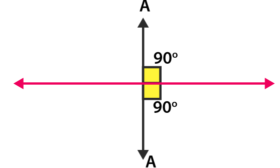 RD Sharma Solutions for Class 6 Chapter 19