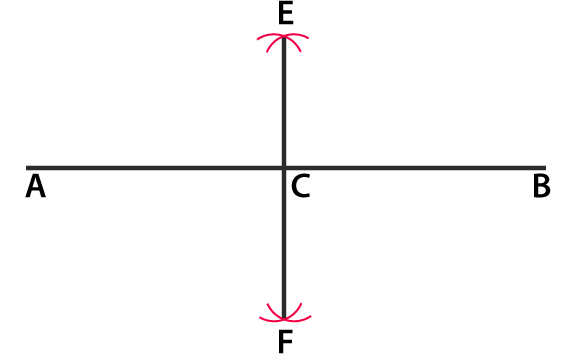 RD Sharma Solutions for Class 6 Chapter 19