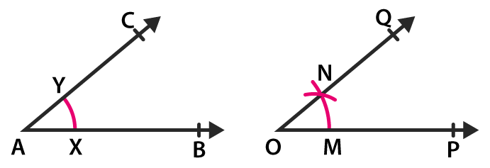 RD Sharma Solutions for Class 6 Chapter 19