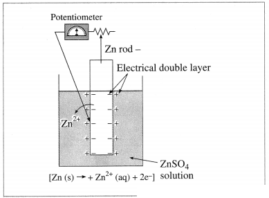 Maharashtra Board Solutions Class 12 Chemistry: Chapter 5- Electrochemistry Question 3.viii