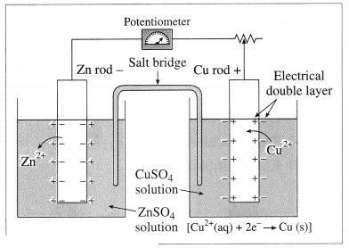Maharashtra Board Solutions Class 12 Chemistry: Chapter 5- Electrochemistry Question 3.viii