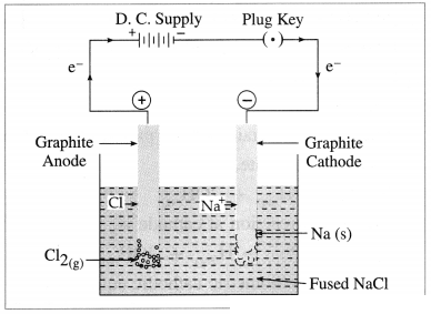 Maharashtra Board Solutions Class 12 Chemistry: Chapter 5- Electrochemistry Question 4.ii
