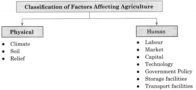 Maharashtra Board Solutions Class 12-Geography: Chapter 4- Primary Economic Activities Question 3