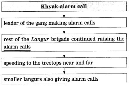 Maharashtra Board Solutions Class 12-English Yuvakbharati (Prose): Chapter 6- Into the Wild