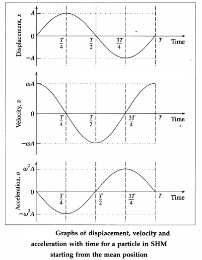 Maharashtra Board Solutions Class 12 Physics: Chapter 5- Oscillations Question 5