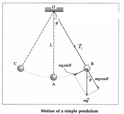 Maharashtra Board Solutions Class 12 Physics: Chapter 5- Oscillations Question 6