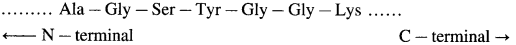 Maharashtra Board Solutions Class 12 Chemistry: Chapter 14- Biomolecules