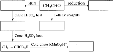 Maharashtra Board Solutions Class 12 Chemistry: Chapter 12- Aldehydes, Ketones and Carboxylic Acids Question 4.v