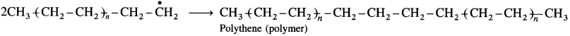 Maharashtra Board Solutions Class 12 Chemistry: Chapter 15- Introduction to Polymer Chemistry Question 5.v
