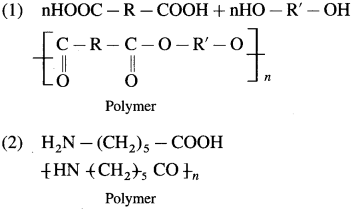 Maharashtra Board Solutions Class 12 Chemistry: Chapter 15- Introduction to Polymer Chemistry Question 3.vii