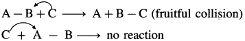 Maharashtra Board Solutions Class 12 Chemistry: Chapter 6- Chemical Kinetics Question 3.vii