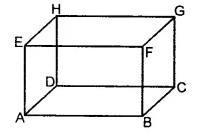 RS Aggarwal Solutions for Class 6 Maths Chapter 11–Line Segment, Ray and Line Ex 11A Question 7