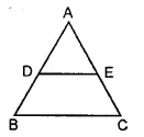 RS Aggarwal Solutions for Class 6 Maths Chapter 12–Parallel Lines Question 3