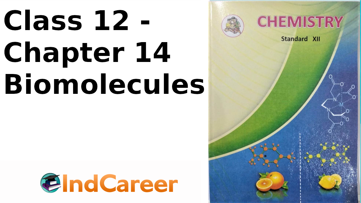 Maharashtra Board For Class 12, Chemistry Ch 14 - IndCareer Schools