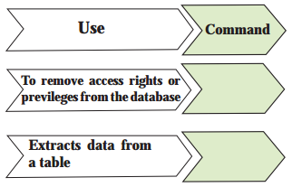 Maharashtra Board Solutions Class 11-Information Technology: Chapter 2- Introduction to DBMS 9.1