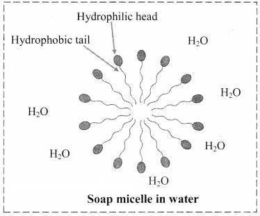 Maharashtra Board Solutions Class 11-Chemistry: Chapter 11- Adsorption and Colloids 10