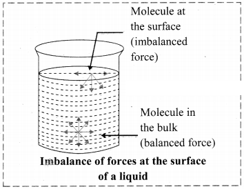 Maharashtra Board Solutions Class 11-Chemistry: Chapter 10- States of Matter 4.E
