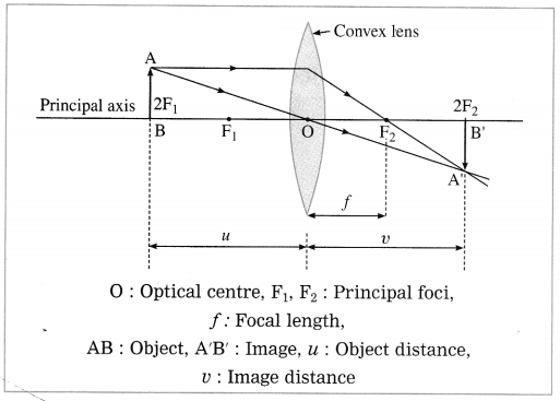 Maharashtra Board Solutions for Class 10- Science (Part 1): Chapter 7- Lenses