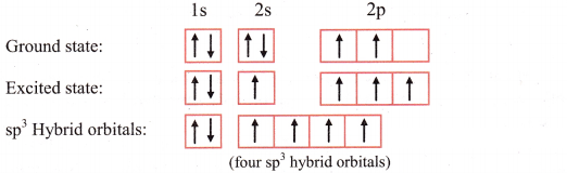Maharashtra Board Solutions Class 11-Chemistry: Chapter 5- Chemical Bonding 3.F