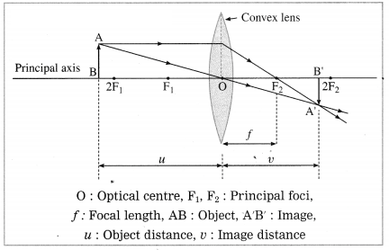 Maharashtra Board Solutions for Class 10- Science (Part 1): Chapter 7- Lenses