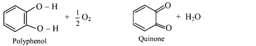Maharashtra Board Solutions Class 11-Chemistry: Chapter 16- Chemistry in Everyday Life 2.B